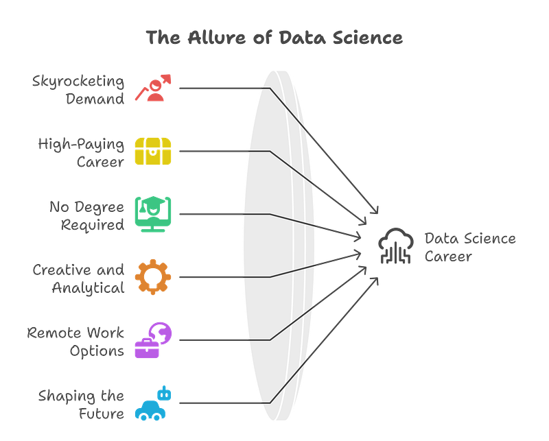 Why Become a Data Scientist?