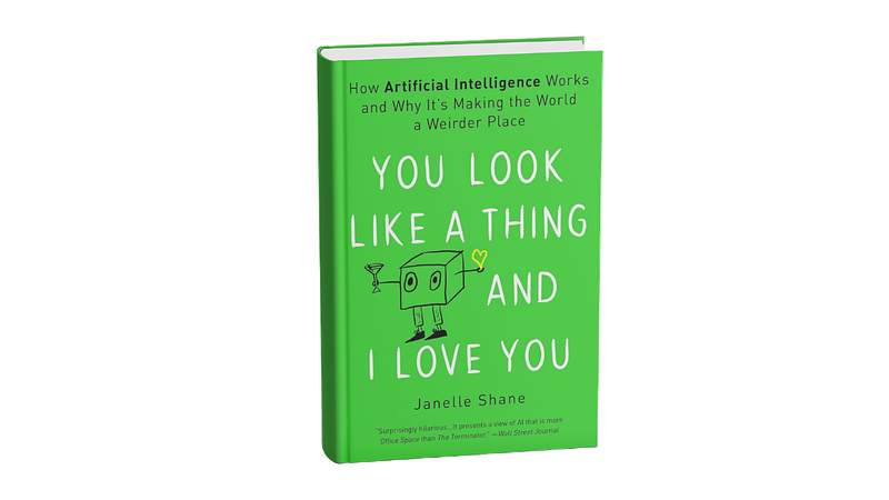 10. You Look Like a Thing and I Love You by Janelle Shane