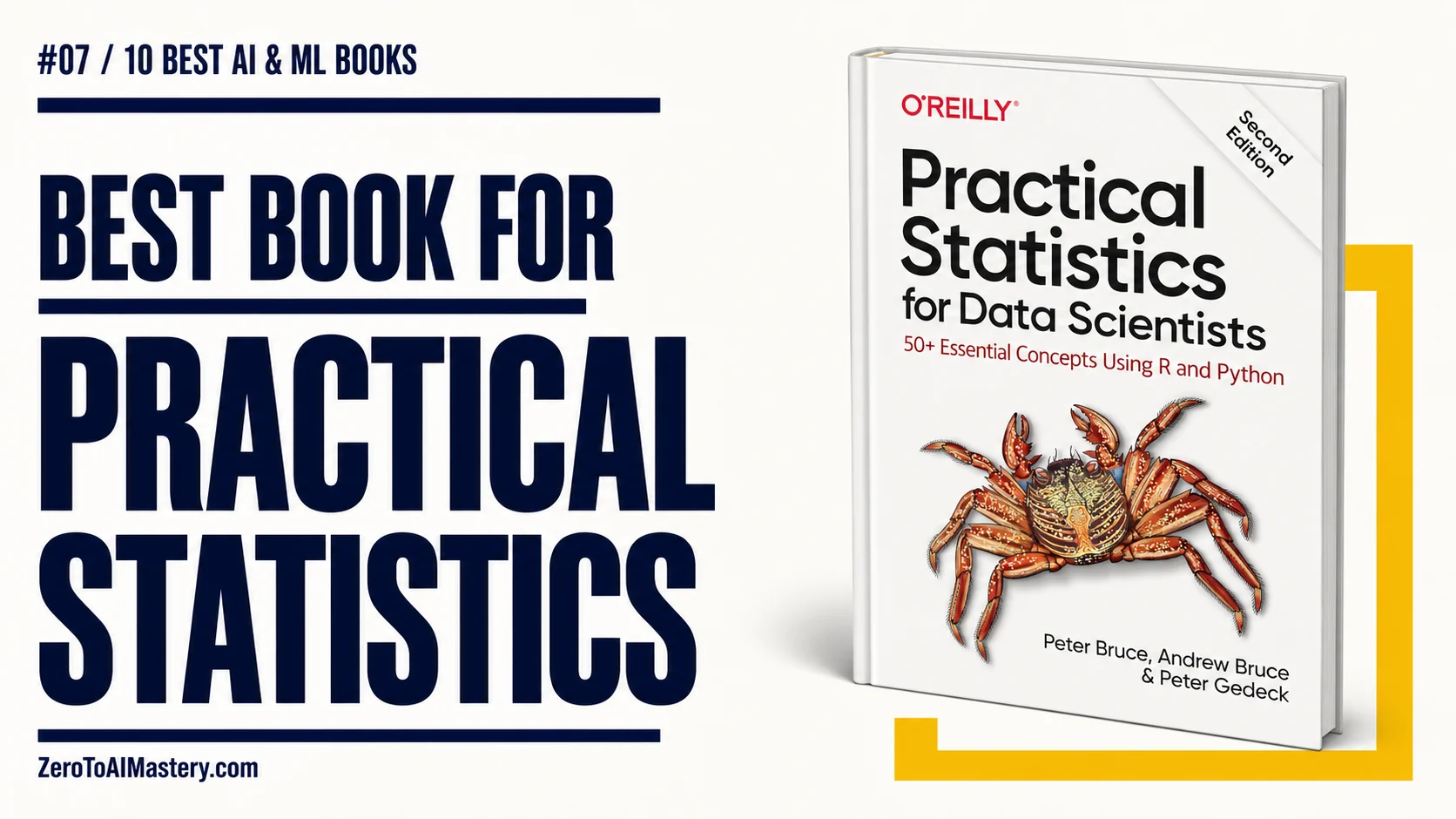 AI learning books understand practical statistics for data science